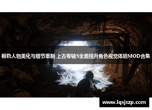 极致人物美化与细节重制 上古卷轴5全面提升角色视觉体验MOD合集