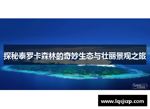 探秘泰罗卡森林的奇妙生态与壮丽景观之旅